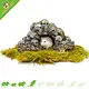 Cueva con forma de calavera de Hamsterscaping para hámsteres y jerbos