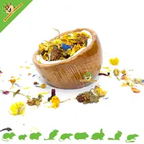 Ceramic coconut feeding bowl 10 cm
