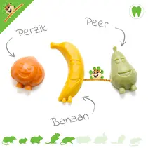 Snack Fruit Mix