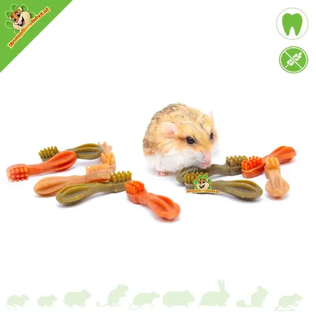 Toothbrush 10 pieces