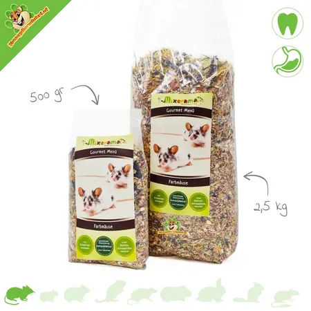 Mixerama Coloring Mouse Gourmet Menu for Mice!