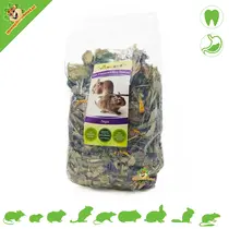 Engrais SAB Degoe Plant Mix équilibré 500 grammes