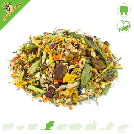 Mr Crumble Aliment naturel pour gerbilles 500 grammes