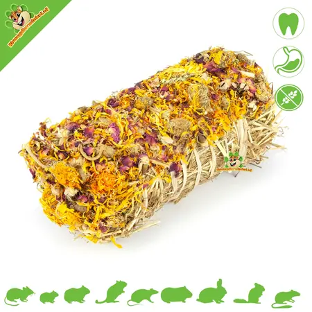 Mr Crumble Nibble Meadow Hay Bale Marigold & Rose Grain Free
