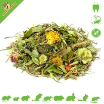 Natuurvoeding Graanvrij voor Degoes 250 gram