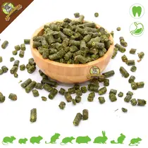 Esparcette Pellets 200 Gramm