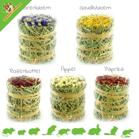 Timothy Heurolle 100 g für Nagetiere und Kaninchen