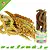 Esve Pet Bouquet Tube Spray proso