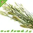 Esve Pet Bouquet Harvest Nagen Haut
