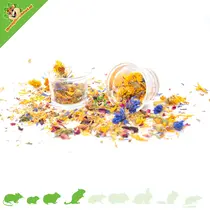 Futternapf oder Wassernapf aus Glas 6 cm