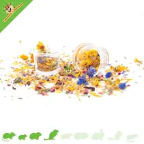 Glass Food Bowl or Water Bowl 5 cm
