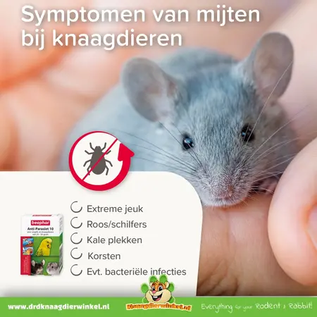 Beaphar Anti-Parasiet voor Knaagdieren en Konijnen