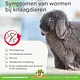 Beaphar Anti-parasite | available only in the Netherlands