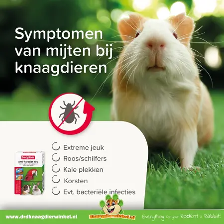 Beaphar Anti-parasite | available only in the Netherlands