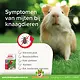Beaphar Antiparasitario | disponible solo en los Países Bajos