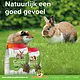 Beaphar Nature Cavia Grain-Free All-in-One karma dla świnek morskich 1,5 kg