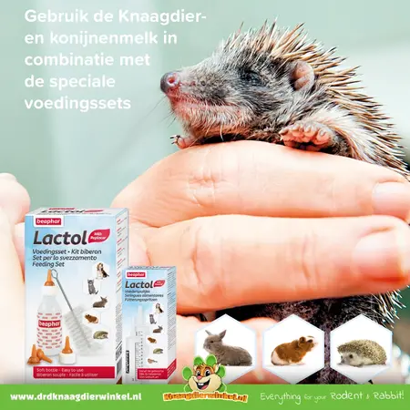 Beaphar Lactol Voedingsset Zuigflesje & Speentjes voor Knaagdieren & Konijnen!