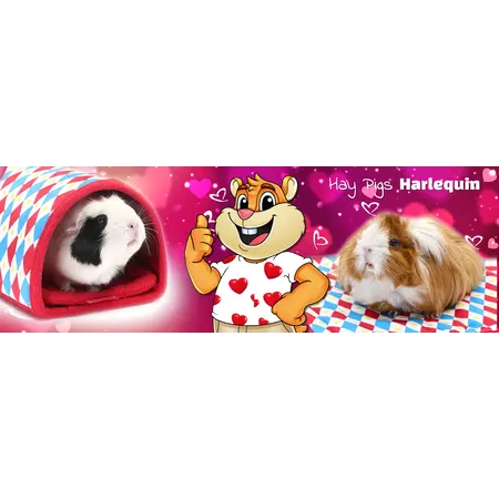 HayPigs ¡Set de 3 Plasmat Harlequin para roedores y conejos!