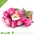 Knaagdier Kruidenier Strawflowers Dark Pink