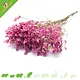 Knaagdier Kruidenier Fleurs de lavande de mer séchées pour l’aménagement du hamster !