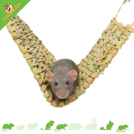 Trixie Grashängematte für Nagetiere, Kaninchen und Frettchen