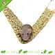Trixie Grass Hammock for Rodents, Rabbits & Ferrets