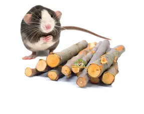 Matériel à ronger pour rats