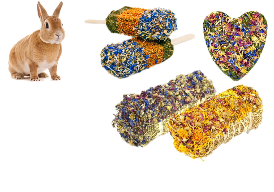 Snacks de hierbas para roedores y conejos: golosinas aromáticas para recompensar y alimentar a sus mascotas.