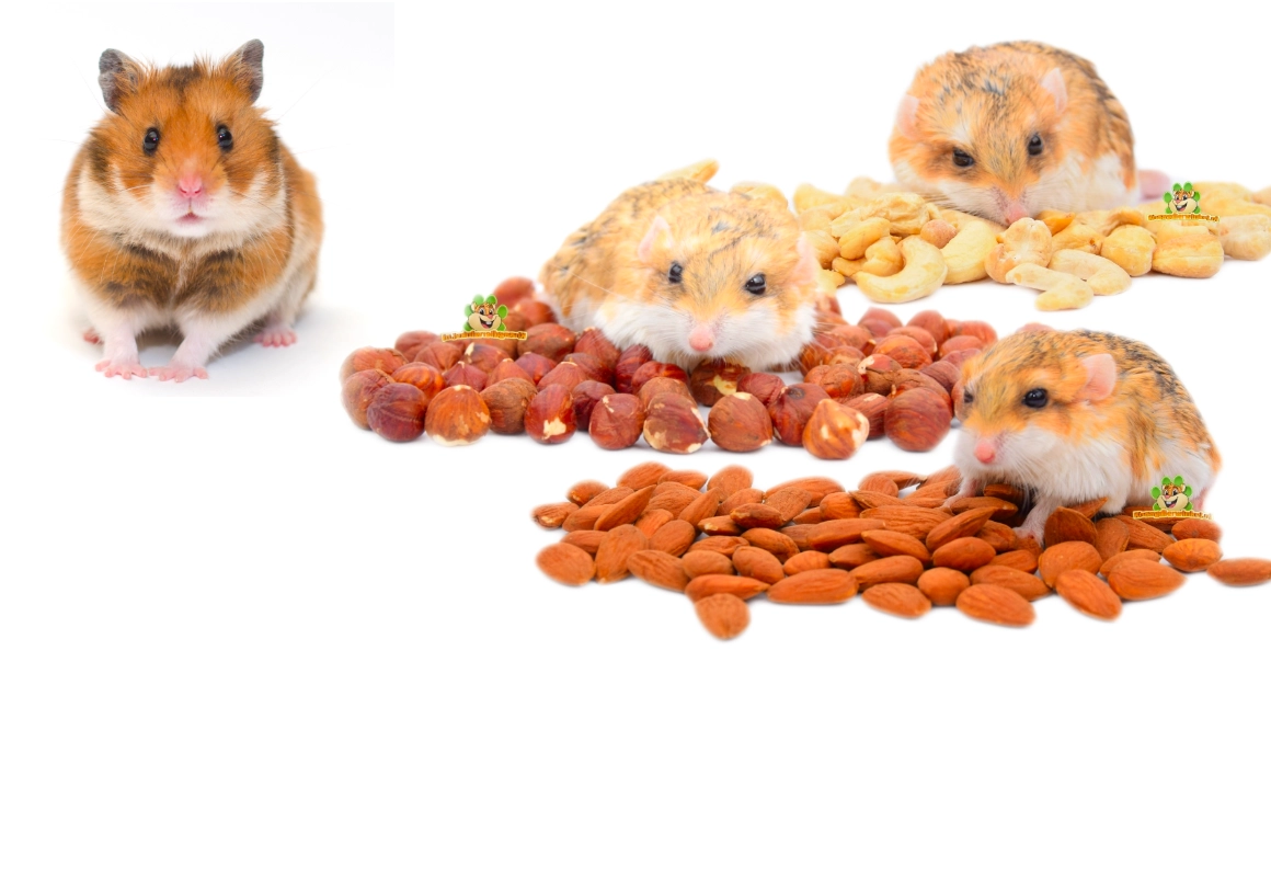 Noten voor knaagdieren