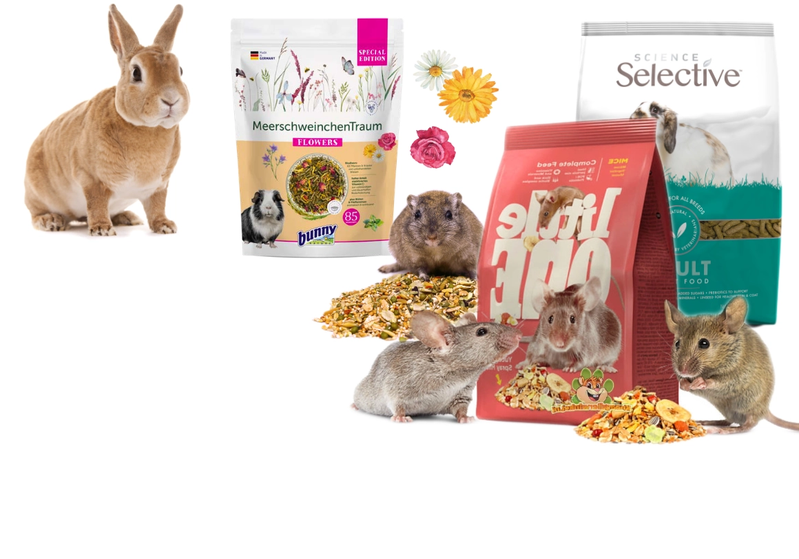 rodent shop rodent food and nutrition for rodents and rabbits