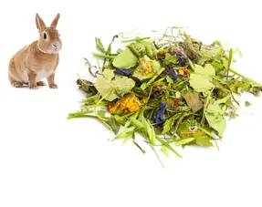 Alimento natural sin pellets