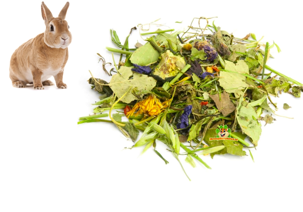 Naturalna mieszanka pokarmowa dla gryzoni i królików