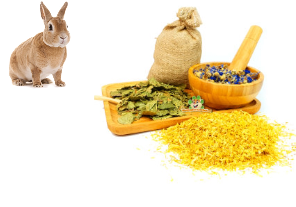 Hierbas para roedores para roedores y conejos, pero también ratones, hámsteres enanos, hámsteres, jerbos, ratas, cobayas, conejos y chinchillas.