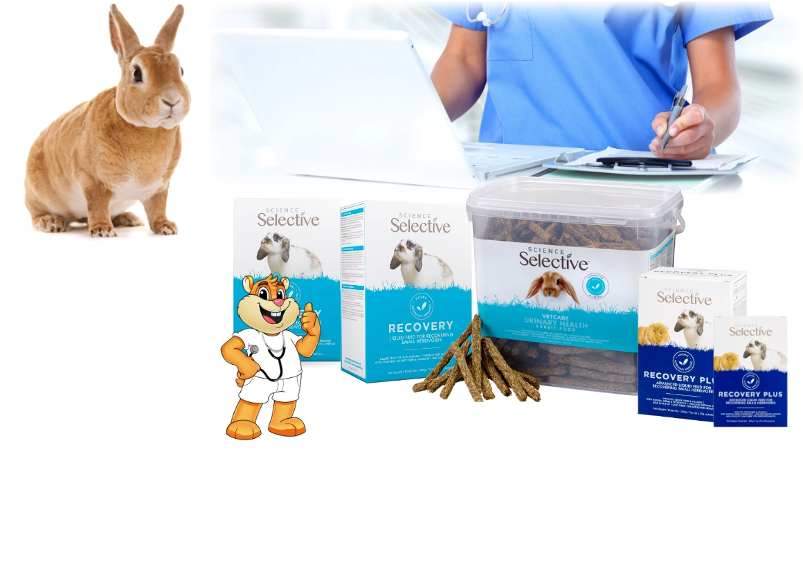 Alimentation spéciale et gavage pour rongeurs et lapins - soutien par alimentation complémentaire