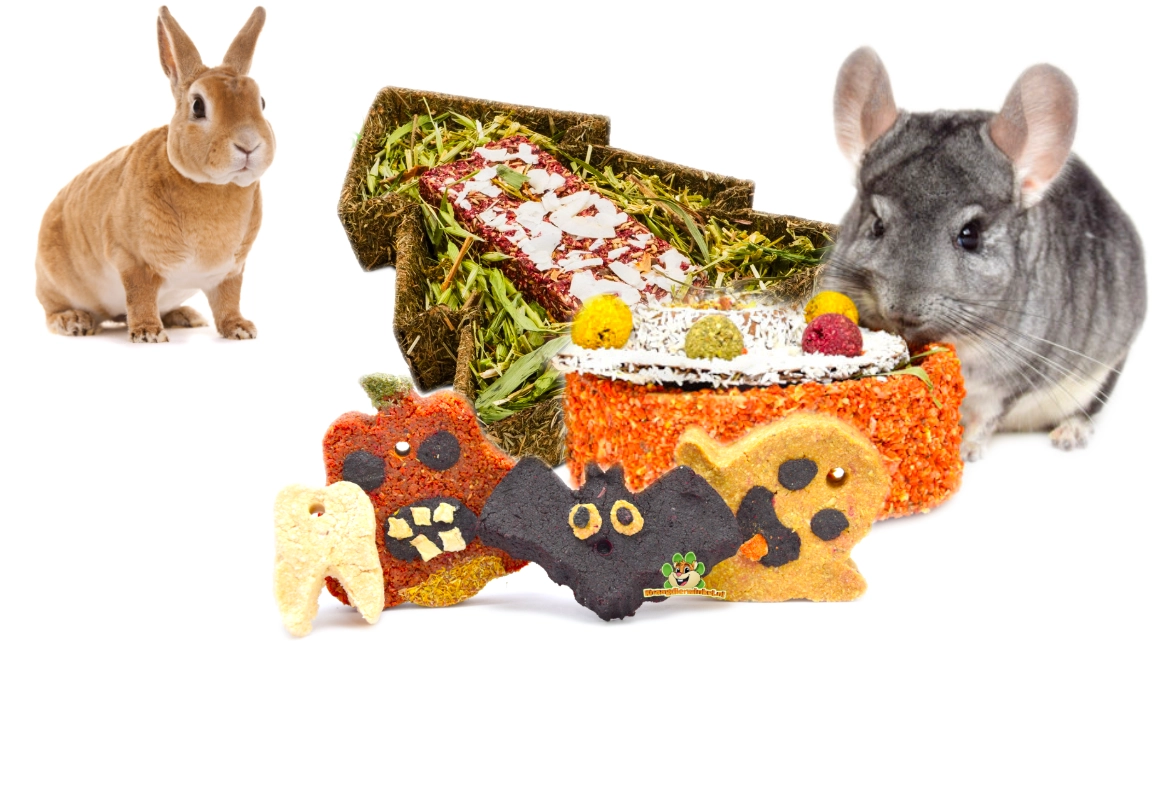 collations spéciales pour rongeurs et lapins Noël Halloween Pâques