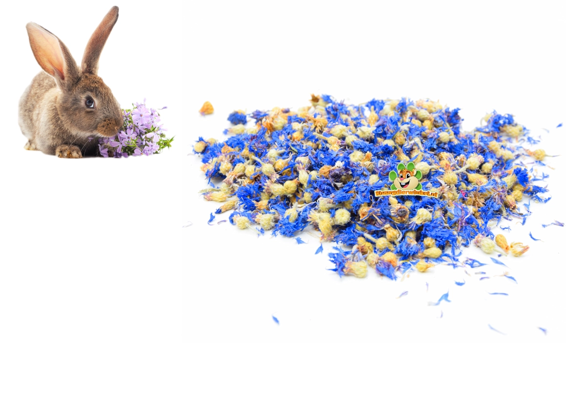 Getrocknete Blüten für Nagetiere und Kaninchen – natürliche Kräuterblüten als Ergänzung und Bereicherung