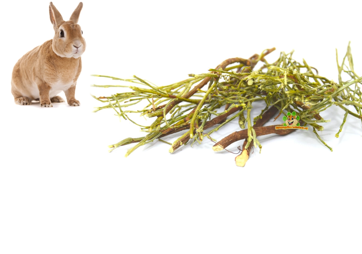 Getrocknete Äste und Zweige für Nagetiere und Kaninchen – natürliche Stängel und Zweige als Beschäftigungsmaterial und Snack.