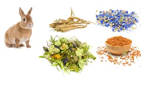 Herbes pour rongeurs et lapins