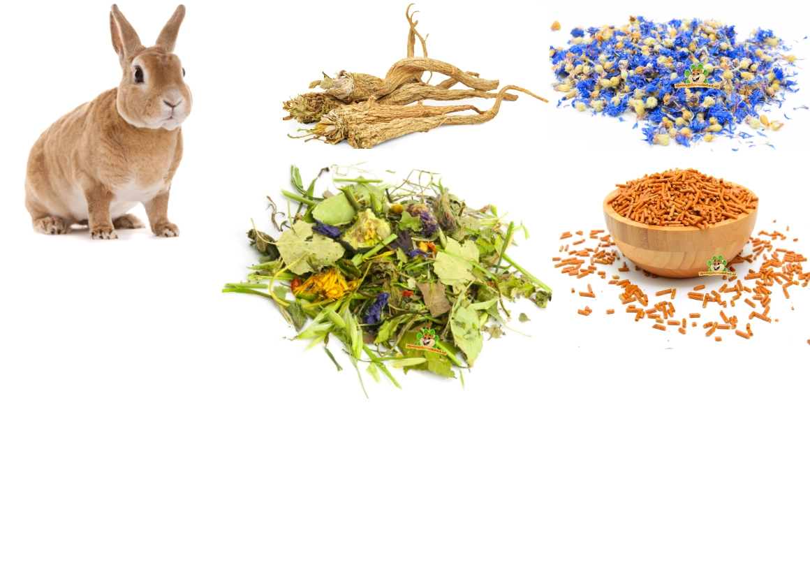 Hierbas para roedores, flores, hojas, ramas, tallos, mezclas de hierbas, pellets