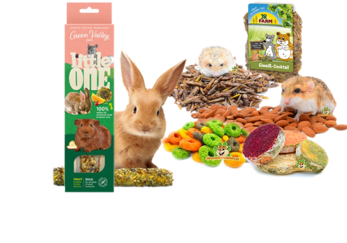 https://cdn.webshopapp.com/shops/36856/files/434483369/snacks-voor-knaagdieren-en-konijnen.jpg
