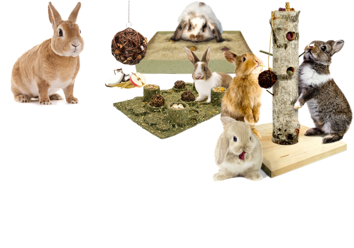 Interaktive Snacks für Nagetiere und Kaninchen – Futtersuche und Beschäftigung