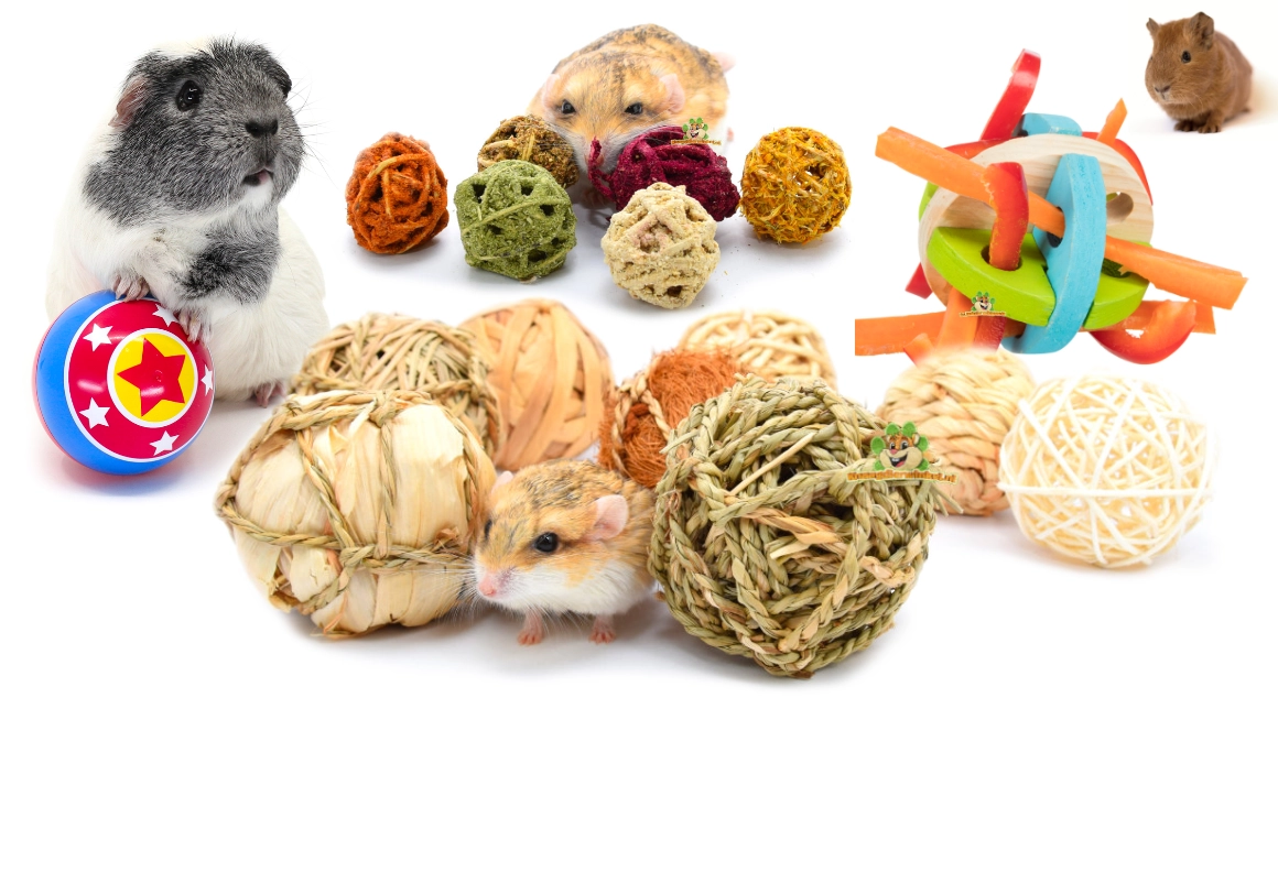 knaagdierwinkel ballen, speelballen, snackballen en knabbel ballen voor knaagdieren en konijnen