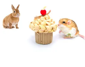 Zabawki rozbiórkowe