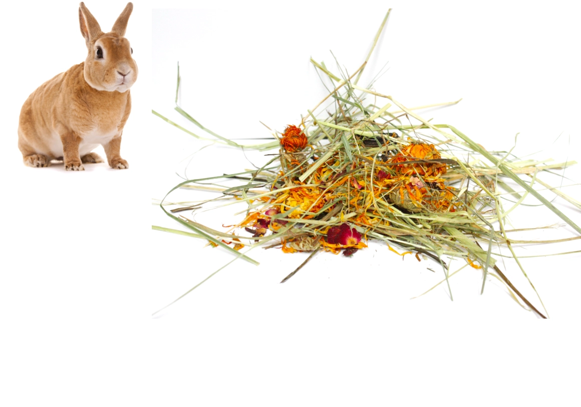 Siano ziołowe jako dodatkowa odmiana w obszarze siana