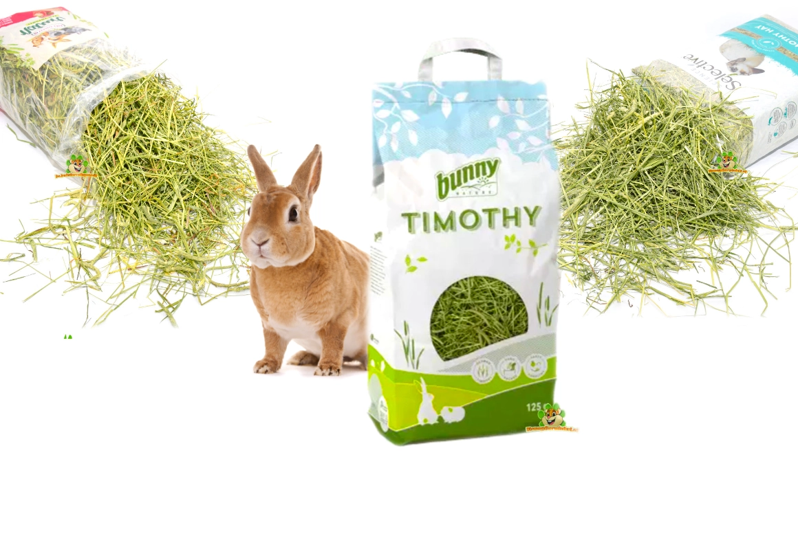 rodent shop timothy hay for rodents and rabbits