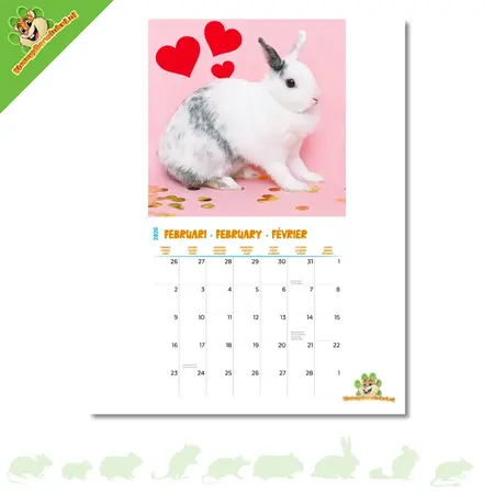 Konijnen Kalender 2026