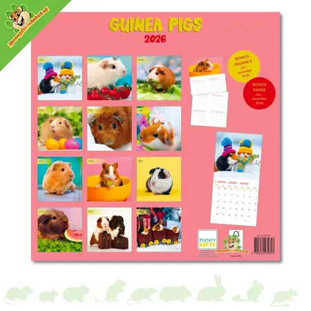 Guinea Pig Calendar 2026