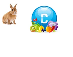 Vitamines et suppléments