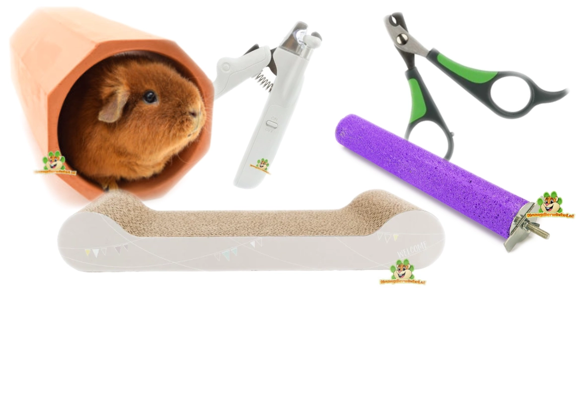 magasin de soins et d'entretien des ongles pour rongeurs et lapins