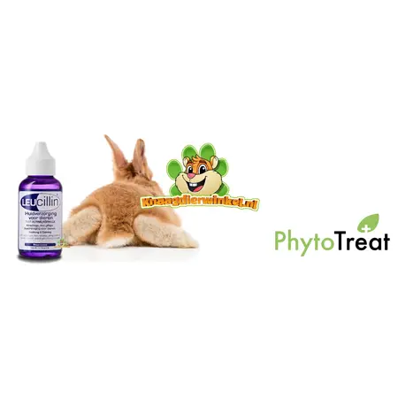 PhytoTreat Leucillin HOCL Pielęgnacja skóry Kroplomierz 50 ml